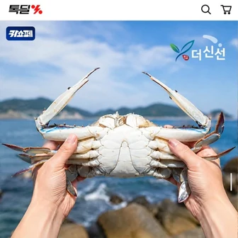 [카카오] 태안 톱밥포장 활 꽃게 3kg 9-15미 (33,930원/무료)