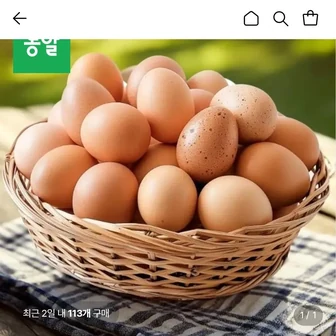 무정란 30구 특란