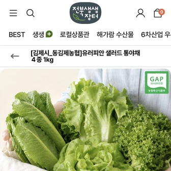 [지역몰] 샐러드 통야채 1kg (7,920/무료)