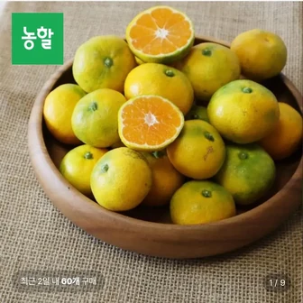 제주 극조생 감귤 대과 4.5kg