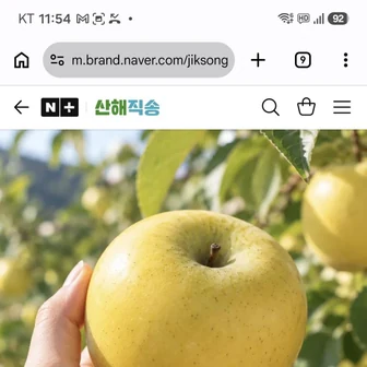 시나노골드 사과 2kg 7,660원 무배
