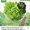 롯데온) 당일수확 무농약 샐러드용 쌈채소 3~5종 믹스 1kg 6390원 무배