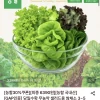 롯데온) 당일수확 무농약 샐러드용 쌈채소 3~5종 믹스 1kg 6390원 무배