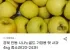 시나노골드 사과 4kg 중소과