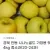 시나노골드 사과 4kg 중소과