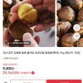 [11번가] 국산 공주 칼집밤 특대 1kg (9,900원/무료)