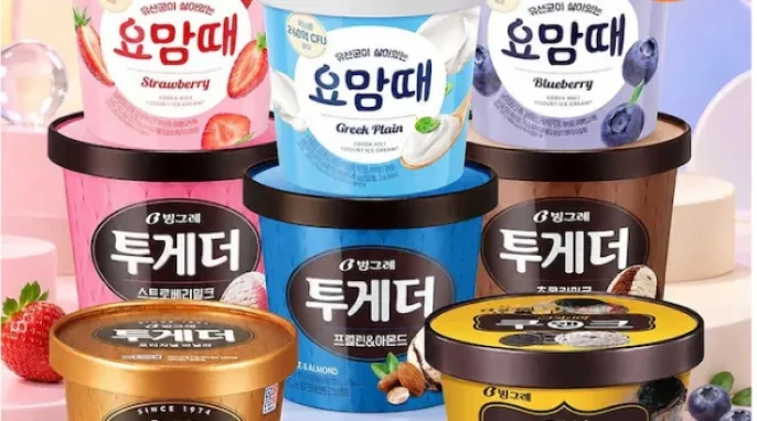 [오늘의집] 투게더 요맘때 파인트 3+2 골라담기 / 조안나 5L 3종 2개