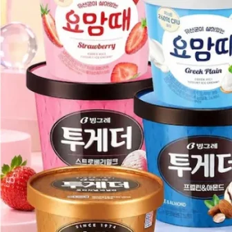 [오늘의집] 투게더 요맘때 파인트 3+2 골라담기 / 조안나 5L 3종 2개