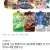 찰떡아이스 돼지바빵 설레임 외 아이스크림 24개 혼합구성