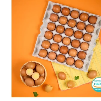 [G마켓] 한정수량) 맛난 구운란 중란 60구 HACCP인증 건강간식 구운계란 (12...