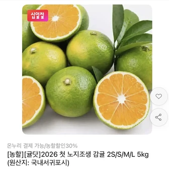 [11번가] 극조생 감귤 5kg 중과 (8,950원/무료)