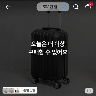 캐리어 20인치