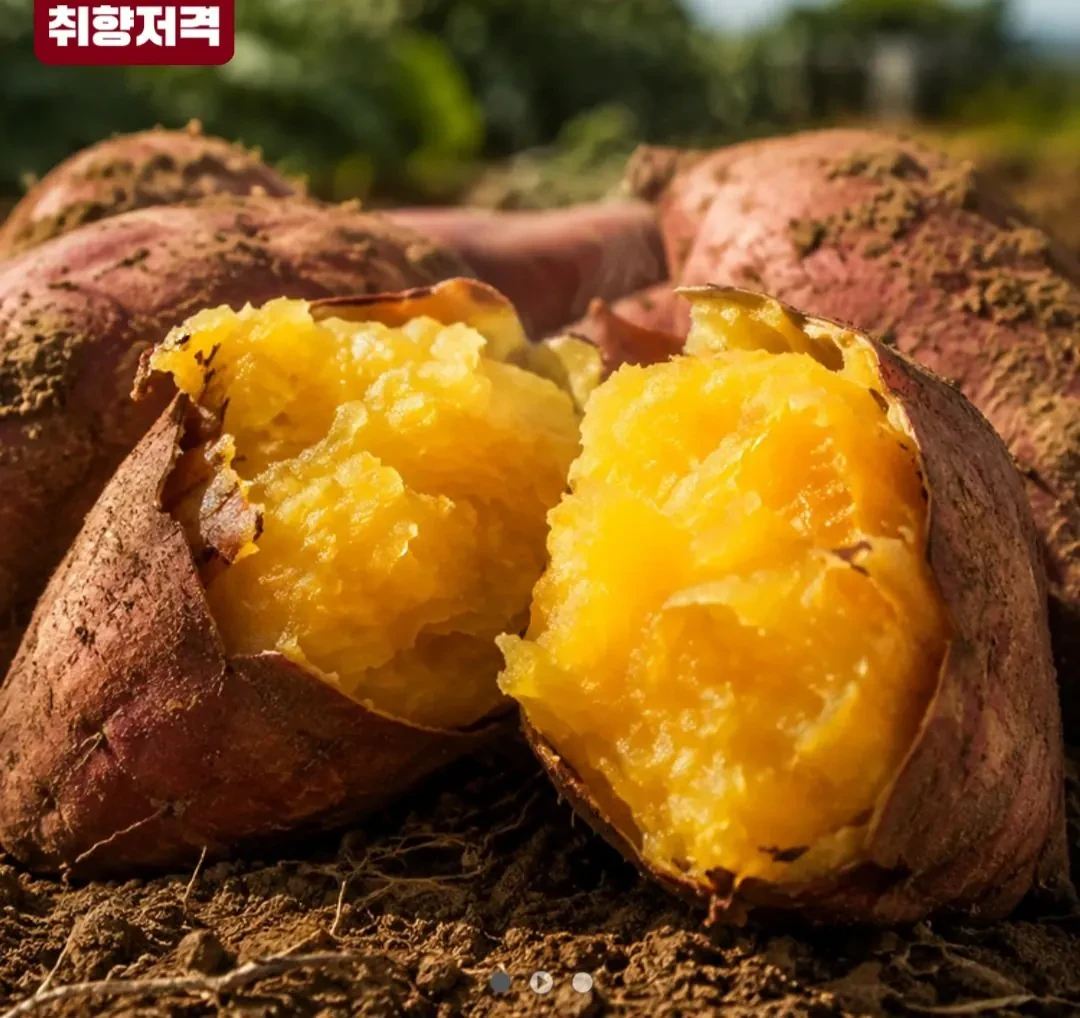 호박고구마 5kg 특상 비세척