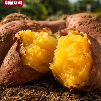 호박고구마 5kg 특상 비세척