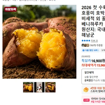 2026 첫 수확! 달콤한 햇 호풍미 호박고구마 5kg 특상 비세척