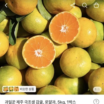 과일꾼 제주 극조생 감귤 로얄과 5kg 10,800원