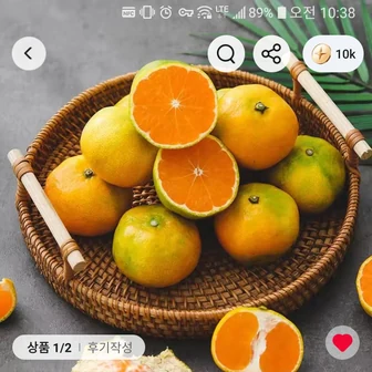 [선별배송] 제주직송 햇 노지 감귤 4.5kg 로얄과