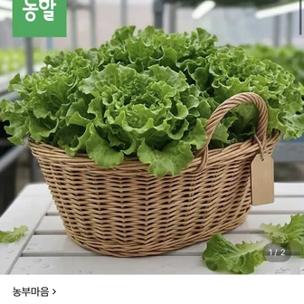 유러피안 샐러드 1kg 2-4종