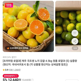 [11번가] 제주 극조생 노지감귤 로얄과 4.5kg (9,900원/무료)
