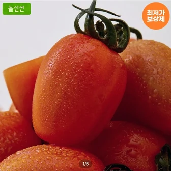 스테비아 토망고 500g 4팩