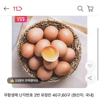 무항생제 특란 계란 달걀 40구