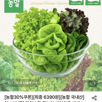 [롯데온] 당일수확 무농약 샐러드용 쌈채소 3~5종 믹스 1kg (6,390원/무료)