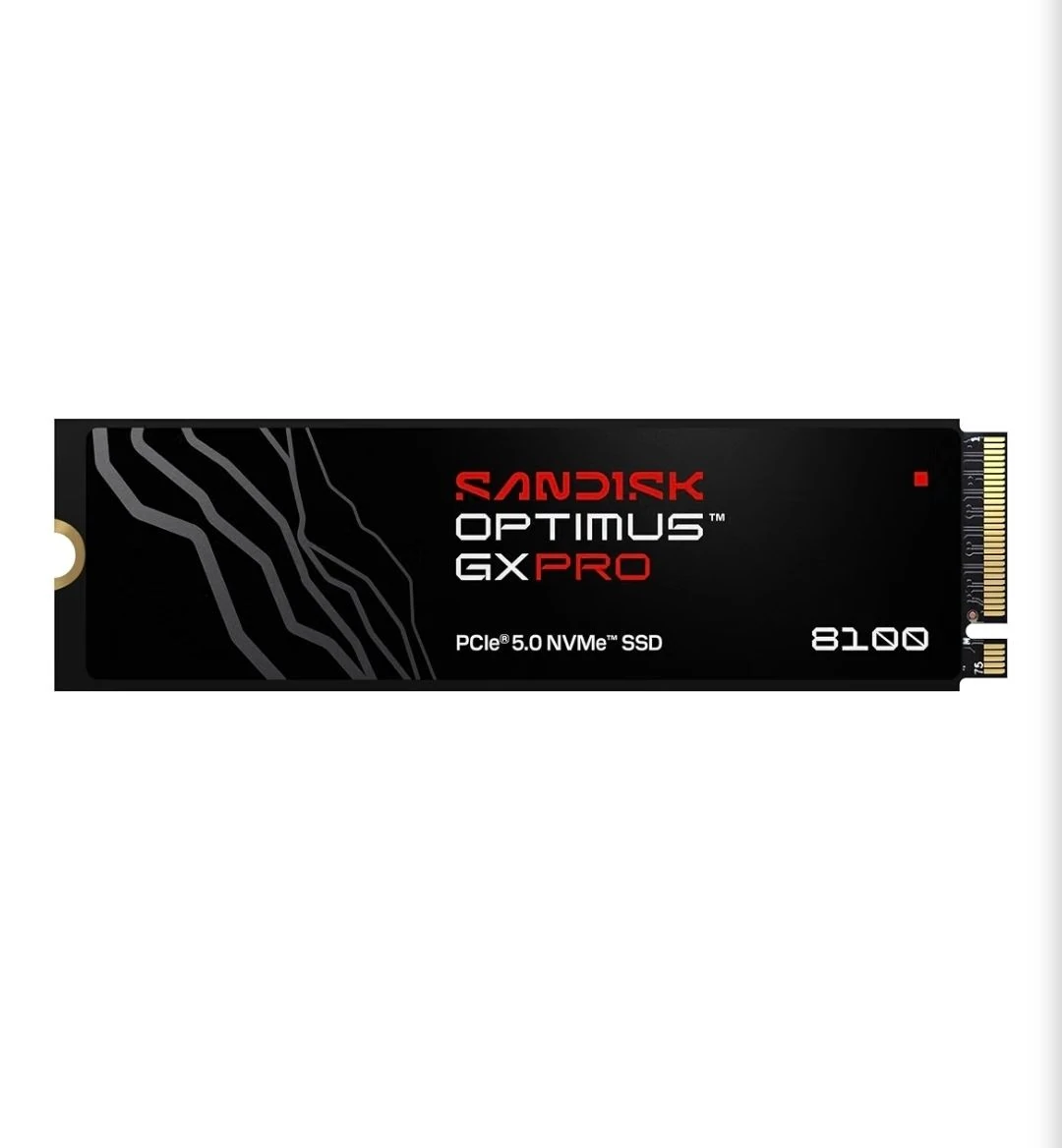 샌디스크 optimus gx pro 8100, 2TB