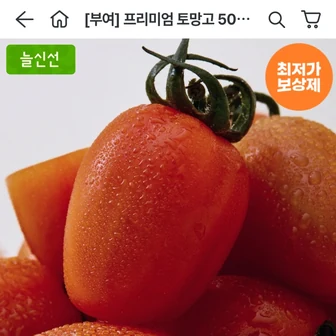 [오늘의집] 토망고 500g x 4팩 (12,926원/무료)