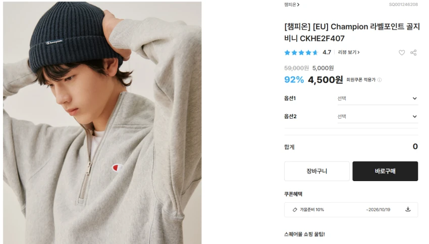 챔피온 비니 4,500원 외 곡괭이