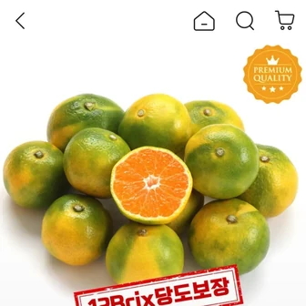 [지마켓] 초고당도 유라감귤 5kg 로얄과 (11,910원/무료)