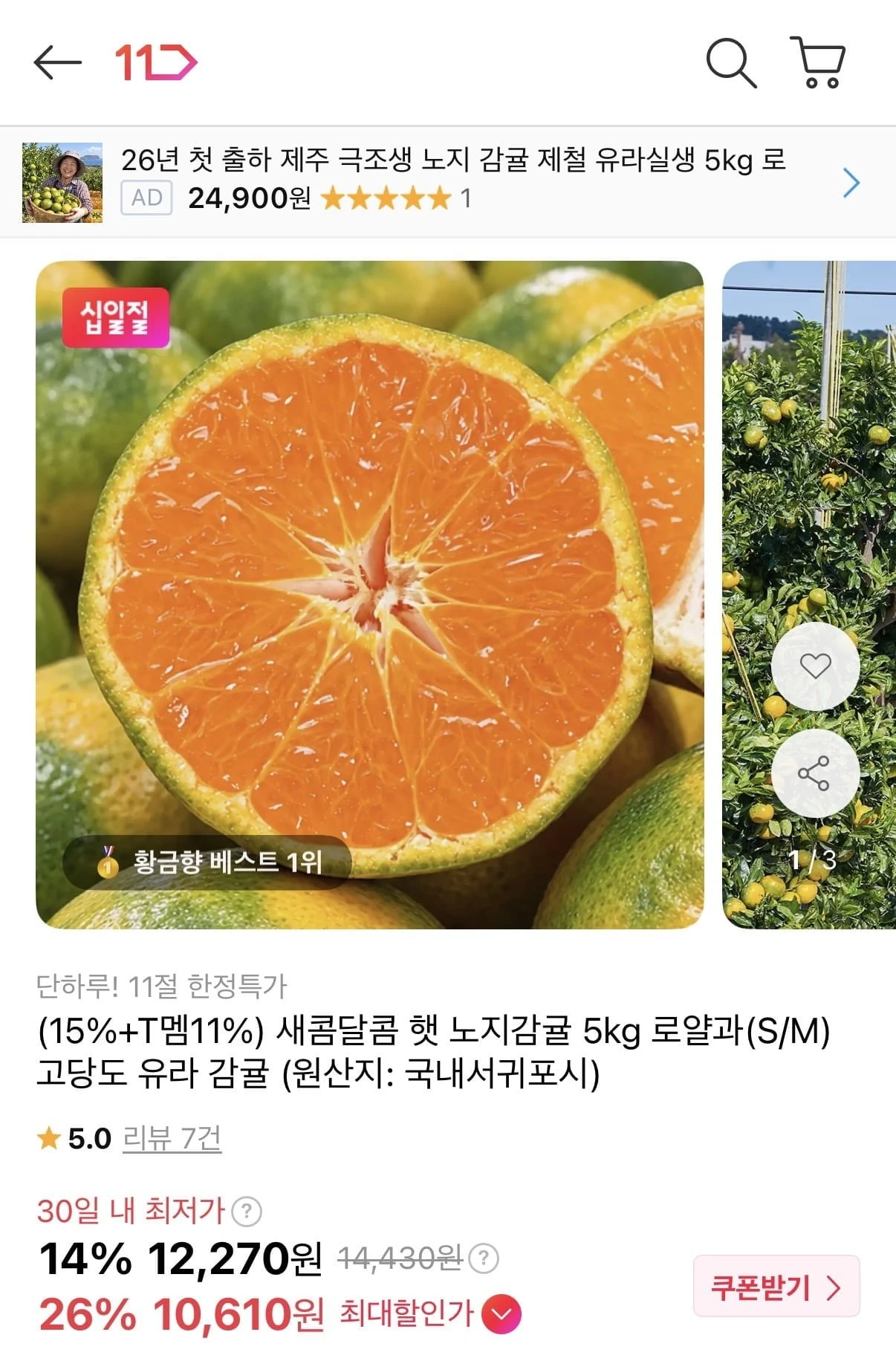 [11번가] 햇 노지감귤 5kg 로얄과 (10,610원/무료배송)