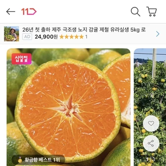 [11번가] 햇 노지감귤 5kg 로얄과 (10,610원/무료배송)