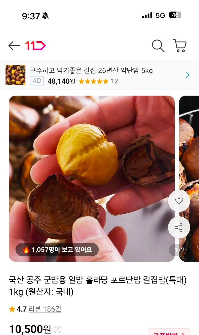 11번가) 국산 공주 군밤용 칼집밤 1kg 특대 10,500원 무배