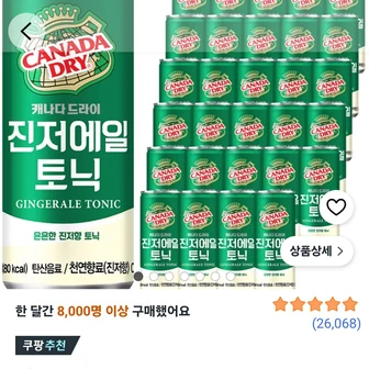 캐나다드라이 진저에일 토닉, 250ml,30개