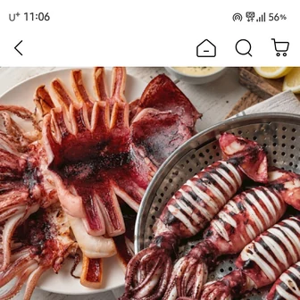 지마켓) 구룡포 반건조 오징어 10미+총알한치15~23미+버터 고추장 사은품 26,880원 무배