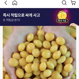 [NS홈쇼] 손질완료 쫀득한 깐 은행 500g (17,900원/무료)
