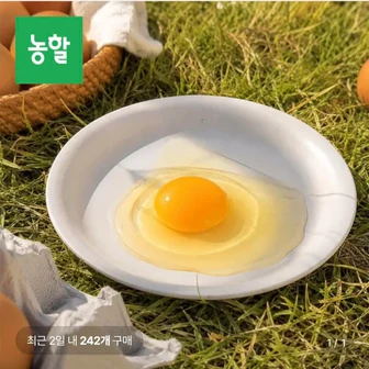 국내산 계란 특란 30구 무정란