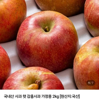 국내산 사과 햇 감홍사과 가정용 2kg