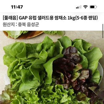 음성장터) 풀래음 GAP 유럽 샐러드용 쌈채소 1kg 6,900원