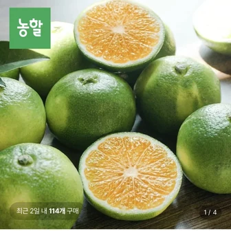 [롯데온] 제주 제철 햇 극조생 감귤 5kg (6,990원/무료)