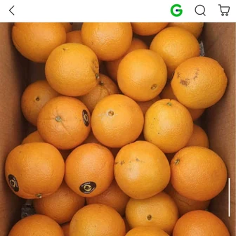 [G마켓] 호주 네이블 오렌지 7키로 (14,900원/무배)