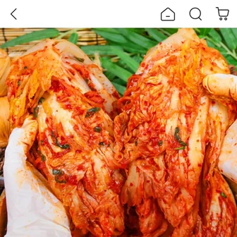 전라도식 배추김치 10kg