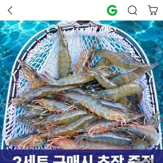 [G마켓] 국내산 제철 흰다리 왕새우1kg 27미내외(23,630원/무료)