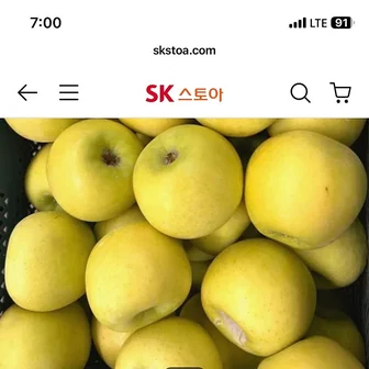 sk스토아) 황금사과 시나노골드 가정용 4kg 중대과 (10-21과 내외) 13,399원