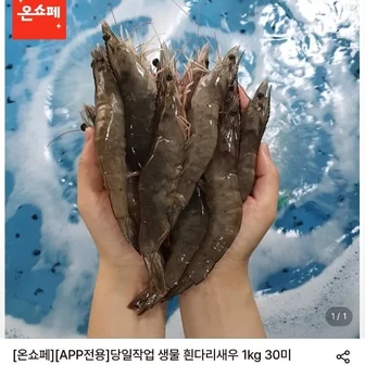 [롯데온] 당일작업 생물 흰다리새우 1kg 30미 (19,490원/무료)