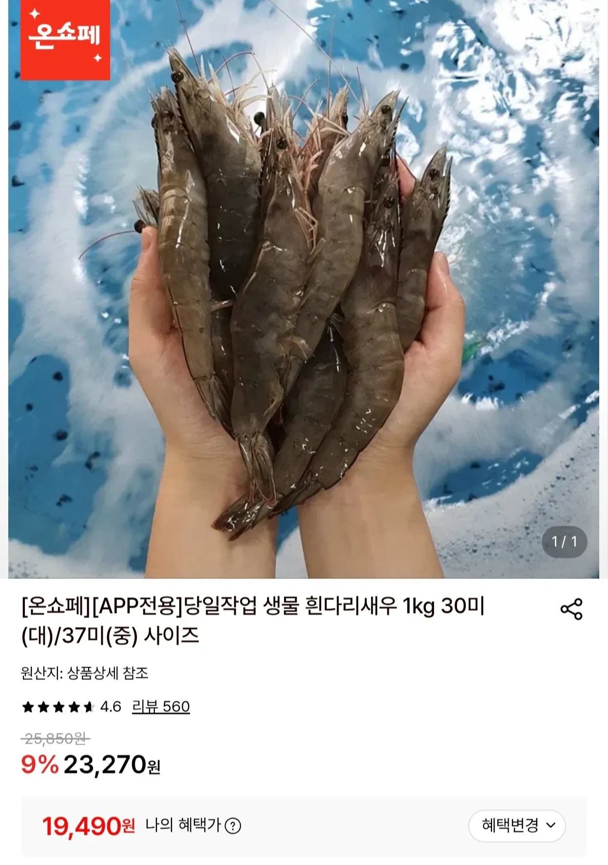 흰다리새우 1kg 30미