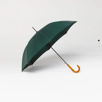장우산