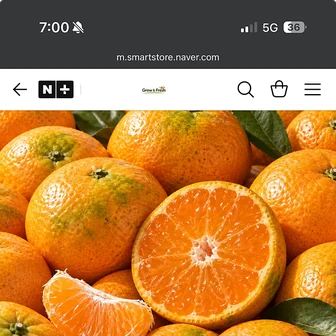 네이버) 제주 감귤 극조생귤 노지 조생감귤 3kg 소과 9,900원 무배