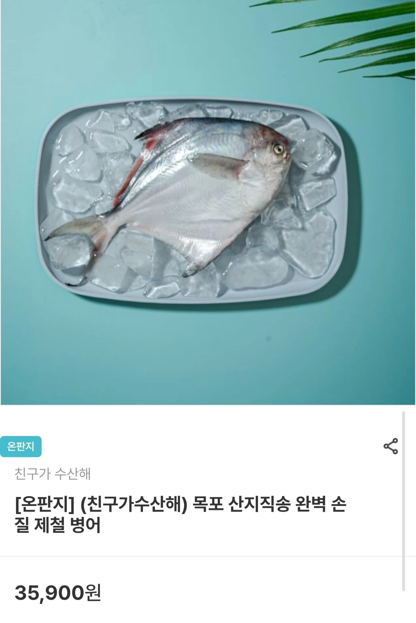 [남도장터] 목포 산지직송 완벽 손질 제철 병어 소 200g 2마리(17,940원/무료배송)