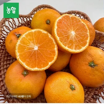 [롯데온] 제주직송 노지감귤 5kg 로얄과 (8,920원/무료)